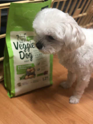 가닝님이 올린 리뷰 사진 3