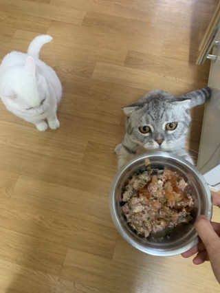 쏭지님이 올린 리뷰 사진 2