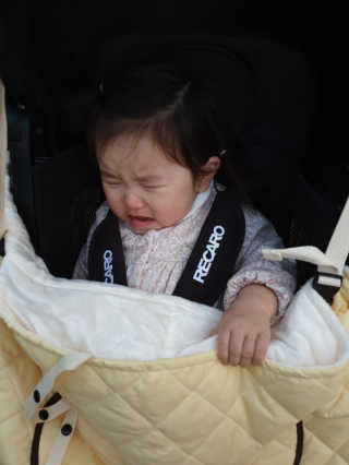 Rushx님이 올린 리뷰 사진 2