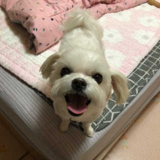 댕민님이 올린 리뷰 사진 1