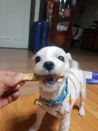 김상호님이 올린 리뷰 사진 2