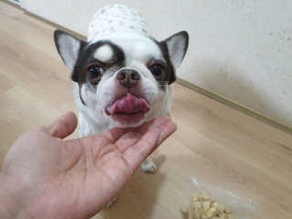 mini unni님이 올린 리뷰 사진 3