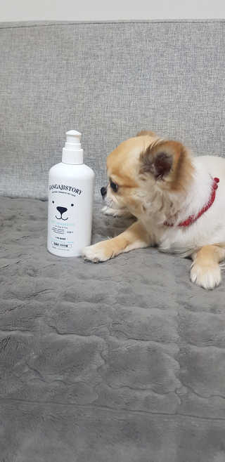 강아지스토리 펫샴푸 300ml — 5점을 준 리뷰어가 2019년 2월 올린 사용 사진