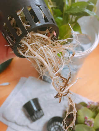 살구사랑님이 올린 리뷰 사진 2