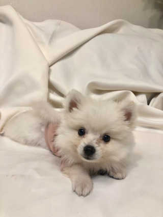 욜로님이 올린 리뷰 사진 3