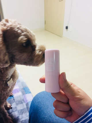 선샤인님이 올린 리뷰 사진 3
