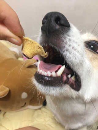 빙우현님이 올린 리뷰 사진 3