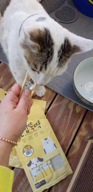 [펫토리아] 강아지,고양이겸용 짜먹는 한입뚝딱 — 4.67점을 준 리뷰어가 2019년 1월 올린 사용 사진