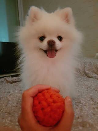 황선아님이 올린 리뷰 사진 1