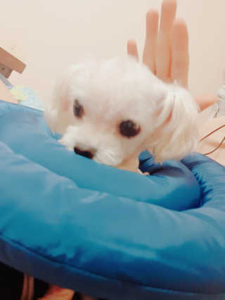 윱니님이 올린 리뷰 사진 1