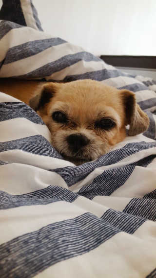 이희은님이 올린 리뷰 사진 3