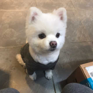 성창현님이 올린 리뷰 사진 4