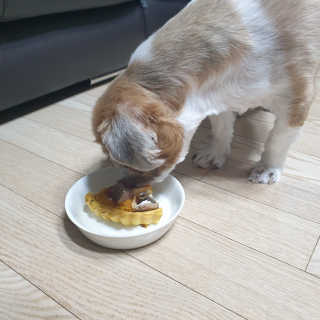 기룡이님이 올린 리뷰 사진 3