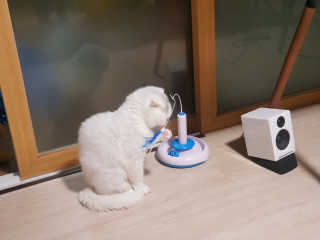 JoYongkug님이 올린 리뷰 사진 2