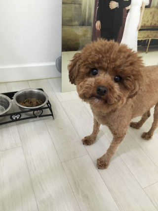 밍님이 올린 리뷰 사진 2