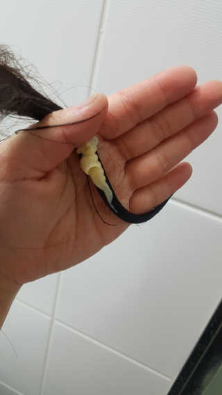 슭짱님이 올린 리뷰 사진 3