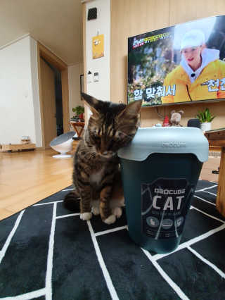 오드리고딩님이 올린 리뷰 사진 4