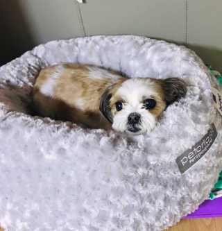혜유닝님이 올린 리뷰 사진 2