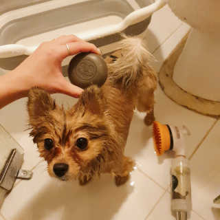 은선이짱님이 올린 리뷰 사진 3