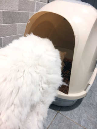 자몽이님이 올린 리뷰 사진 4