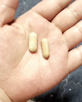 Ren님이 올린 리뷰 사진 3