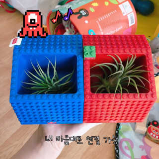 응D님이 올린 리뷰 사진 3