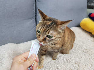 엠마러브님이 올린 리뷰 사진 3