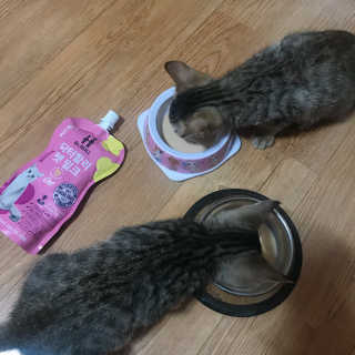 례진님이 올린 리뷰 사진 1