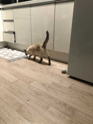 Canteen님이 올린 리뷰 사진 2