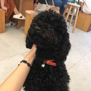 cindy님이 올린 리뷰 사진 4