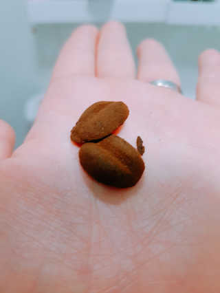 율호맘님이 올린 리뷰 사진 1