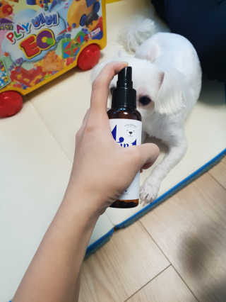 강아지스토리 포인원 모이스처 미스트 100ml — 5점을 준 리뷰어가 2018년 11월 올린 사용 사진
