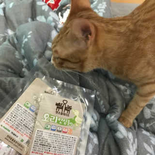 송선생님님이 올린 리뷰 사진 2
