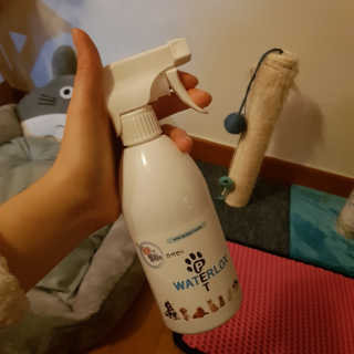 밍삐님이 올린 리뷰 사진 1