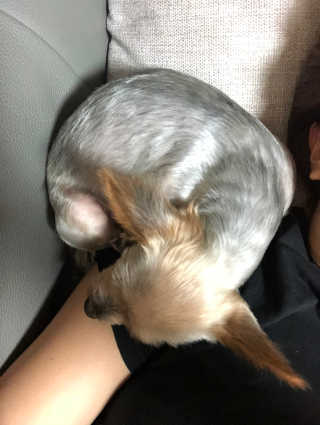 김로이님이 올린 리뷰 사진 4