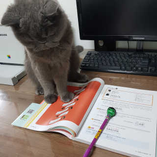 제트님이 올린 리뷰 사진 1