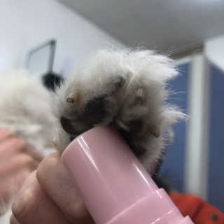 쑤이님이 올린 리뷰 사진 3