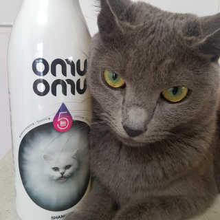 쿠로님이 올린 리뷰 사진 1