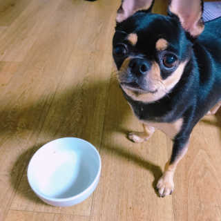 blue님이 올린 리뷰 사진 3