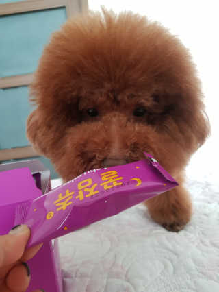쪼꼬짱님이 올린 리뷰 사진 1