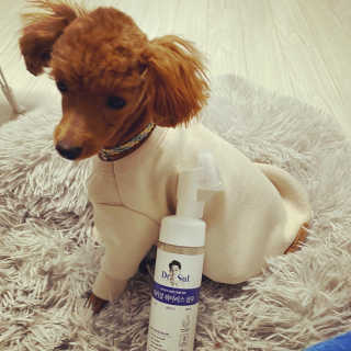 칸쵸님이 올린 리뷰 사진 1