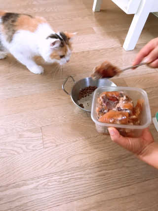 민댕댕이님이 올린 리뷰 사진 3
