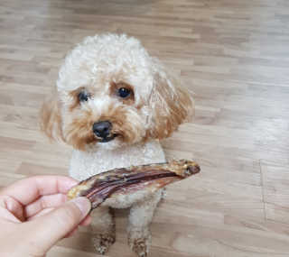 B님이 올린 리뷰 사진 2