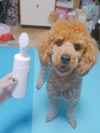 songyn님이 올린 리뷰 사진 2