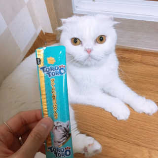 Dragonzoo님이 올린 리뷰 사진 1