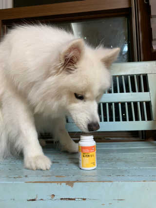지수님이 올린 리뷰 사진 2