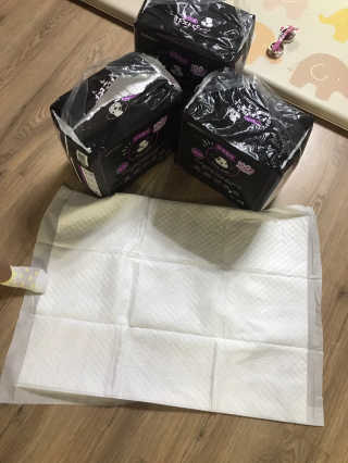 펫토리아 한장뚝딱 NEW 프리미엄 국내산 배변패드 — 5점을 준 리뷰어가 2019년 5월 올린 사용 사진