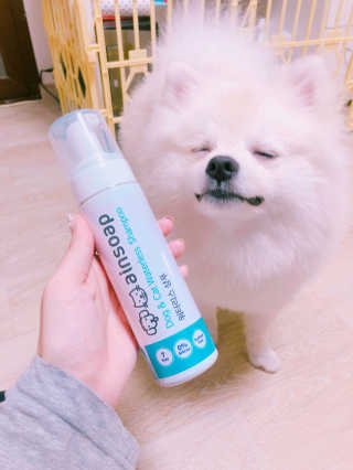 오정선님이 올린 리뷰 사진 2