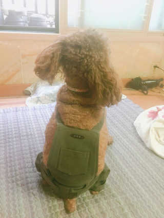 Riahn님이 올린 리뷰 사진 2