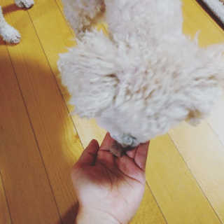 이린님이 올린 리뷰 사진 3
